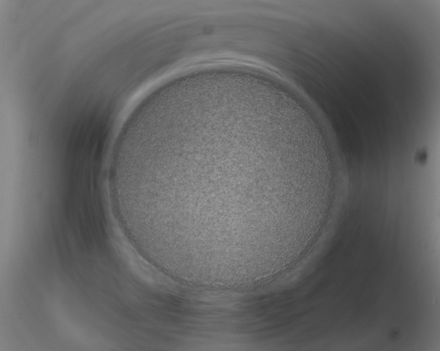 X0000116121514201001040939