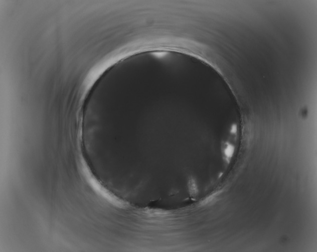 X0000116121515201001040939