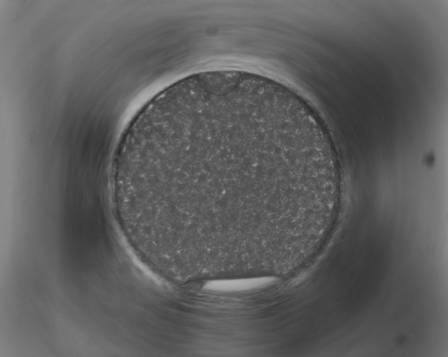 X0000116121517201001040939