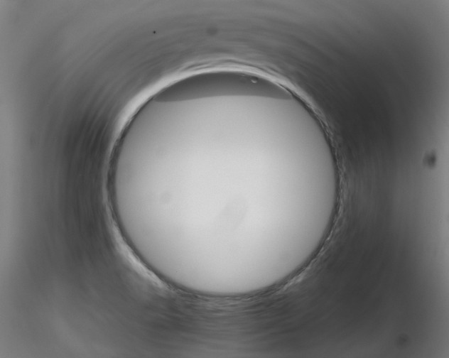 X0000116121518201001040939