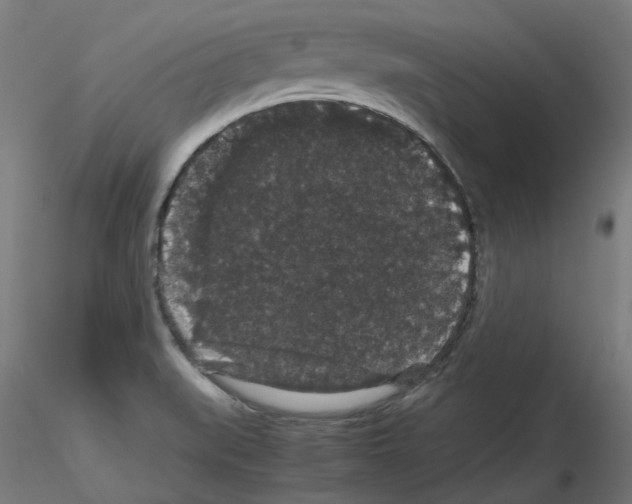 X0000116121519201001040939