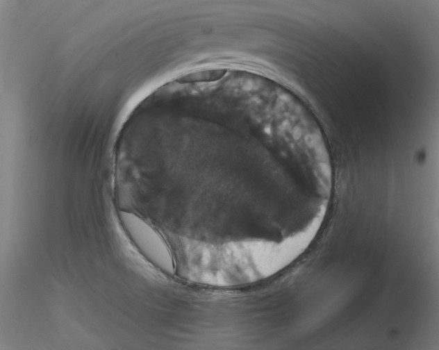 X0000116121522201001040940