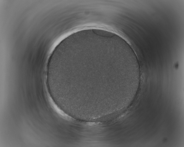 X0000116121523201001040940