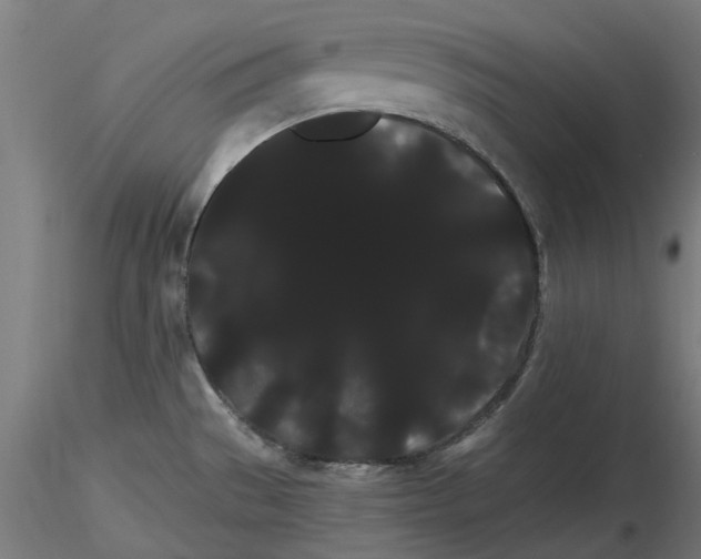 X0000116121529201001040940
