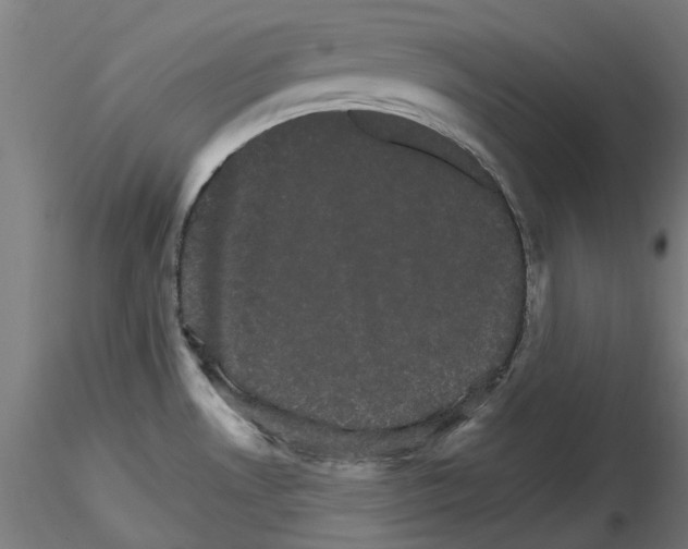 X0000116121530201001040940