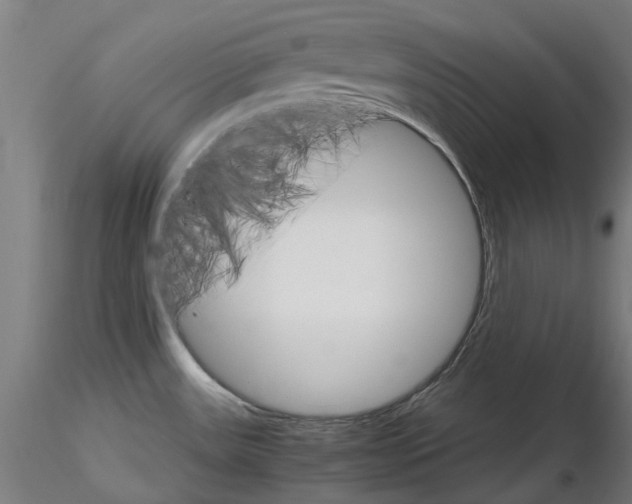 X0000116121531201001040940