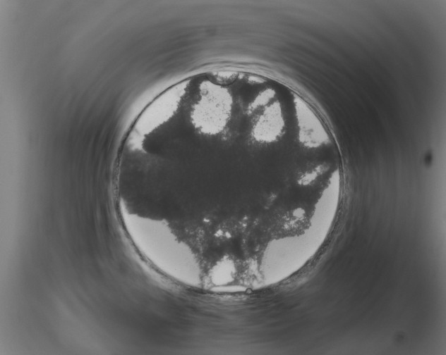 X0000116121533201001040940