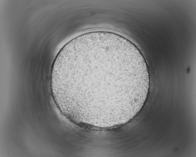 X0000116121534201001040940