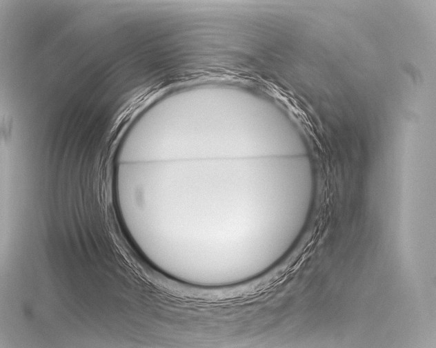 X0000116130002200911231001