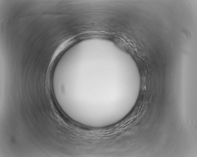 X0000116130004200911231001