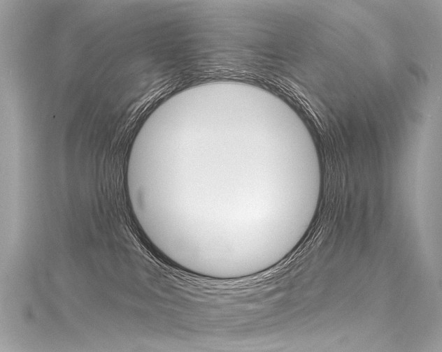 X0000116130043200911231000