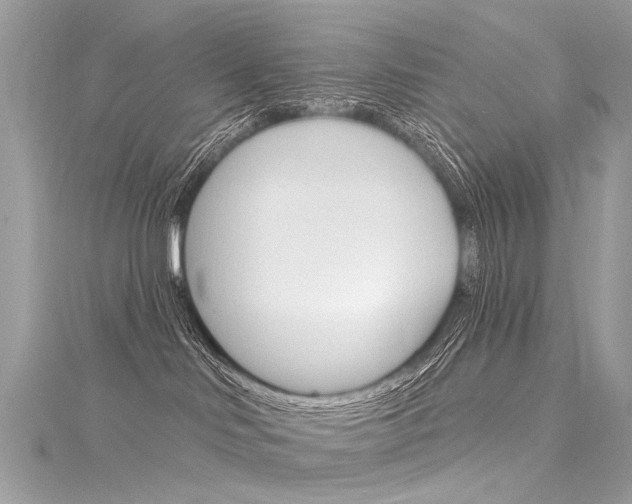 X0000116130046200911231000