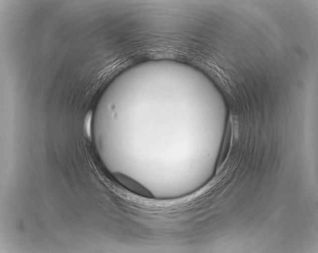 X0000116130047200911231000