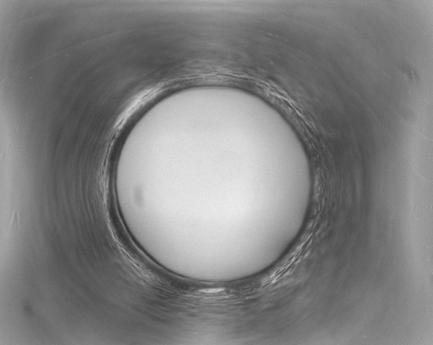 X0000116130054200911231000