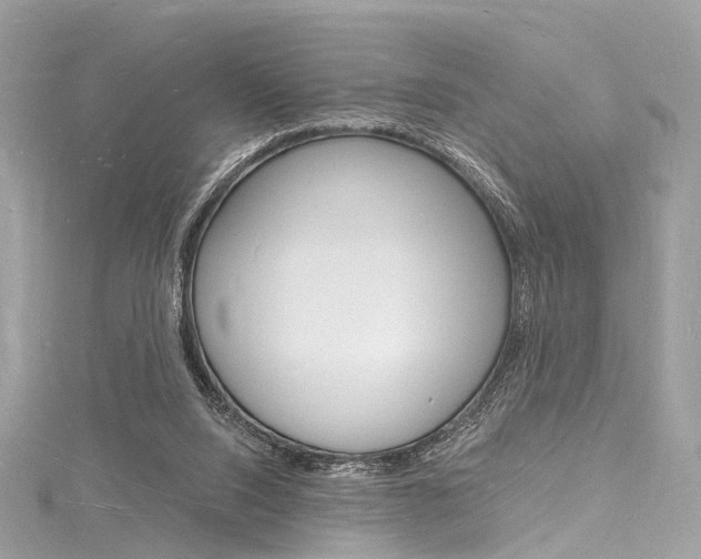 X0000116130064200911231000