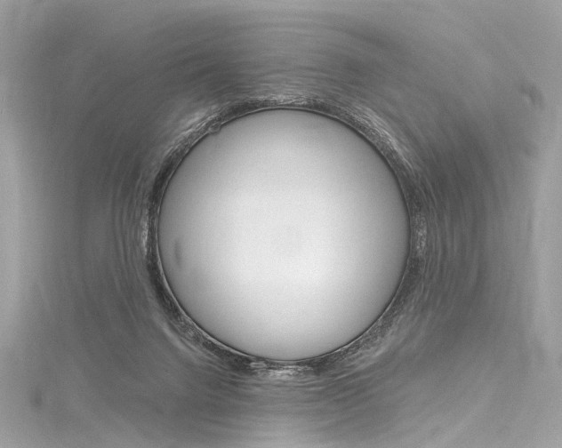 X0000116130072200911231000