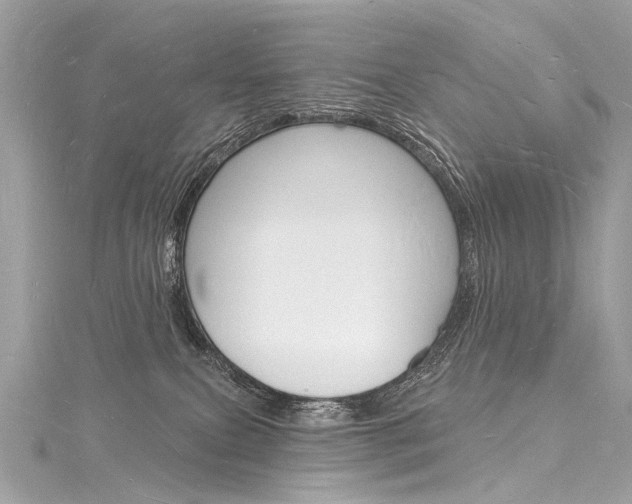 X0000116130087200911231000