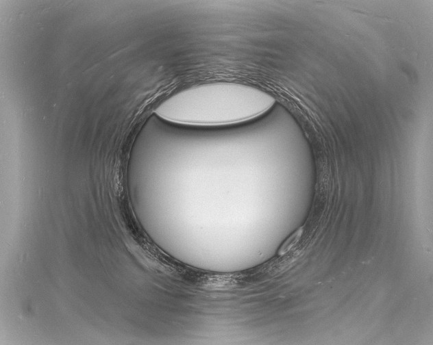 X0000116130088200911231000