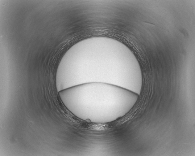 X0000116130089200911231000