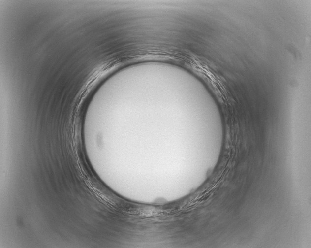 X0000116130098200911231000
