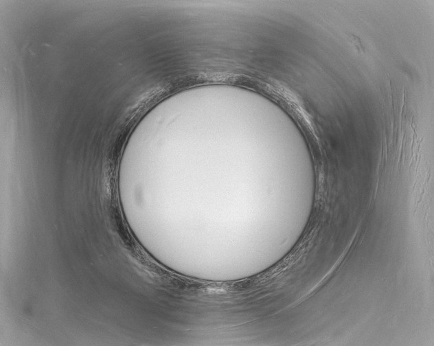 X0000116130114200911230959