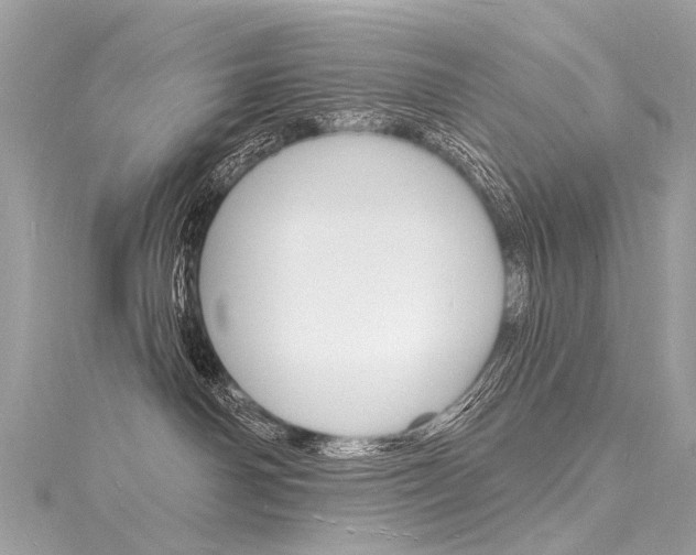 X0000116130142200911230959