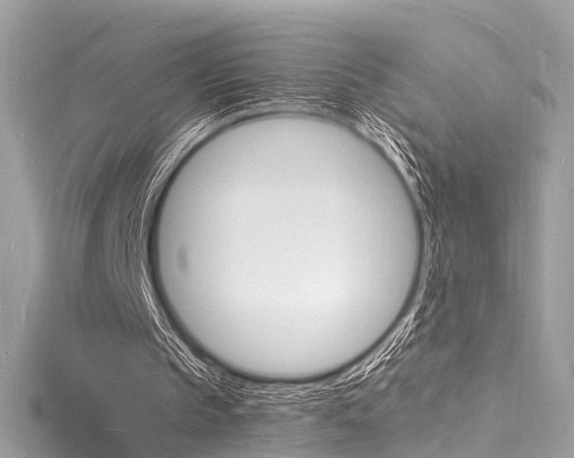 X0000116130145200911230958