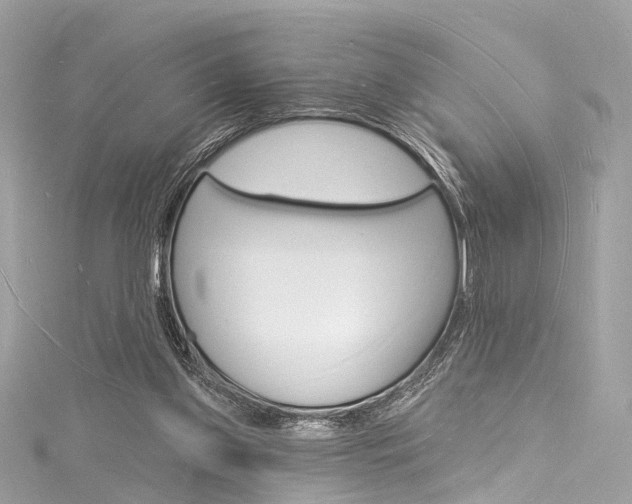 X0000116130157200911230958