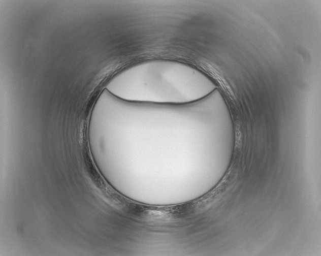X0000116130167200911230959