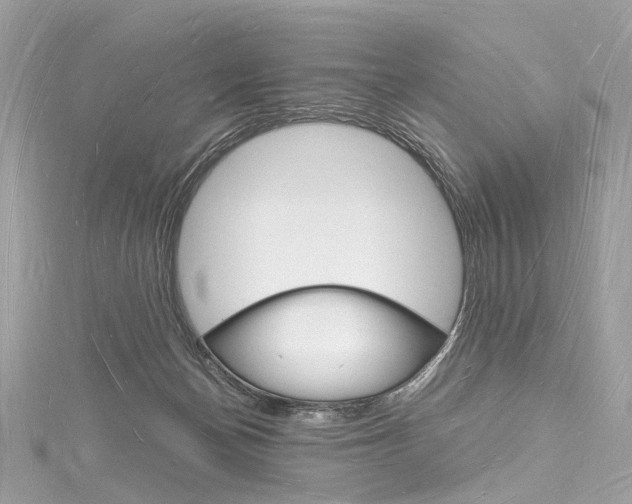 X0000116130174200911230959