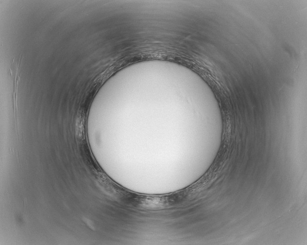 X0000116130177200911230959