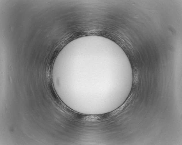 X0000116130179200911230959