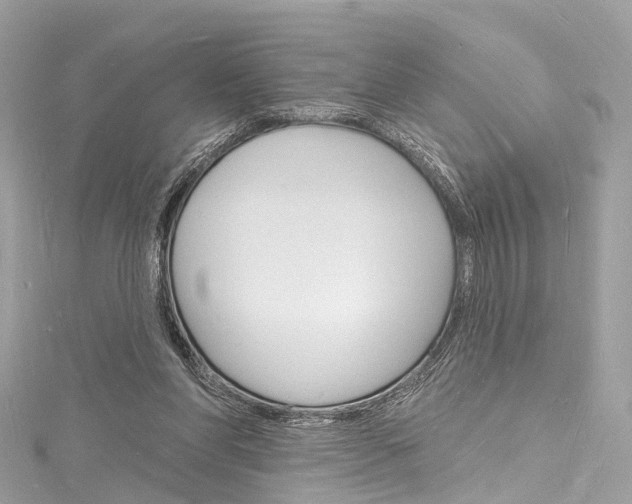 X0000116130206200911230958