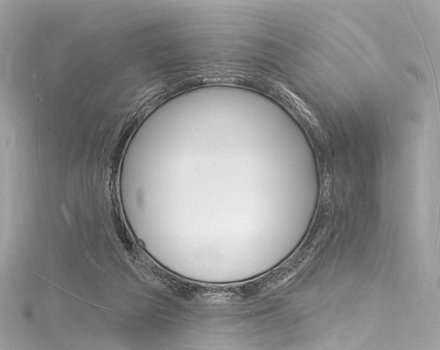 X0000116130209200911230958
