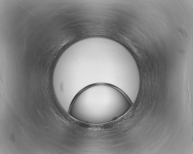 X0000116130211200911230958
