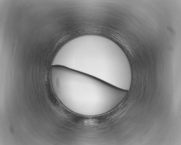 X0000116130216200911230958