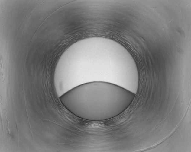 X0000116130223200911230958