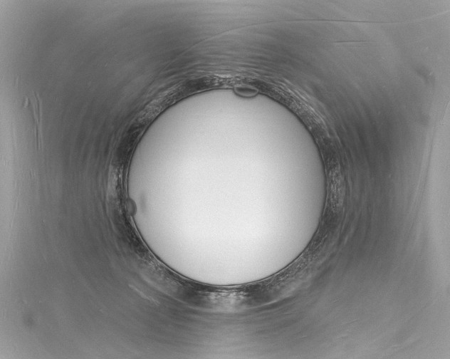 X0000116130225200911230958