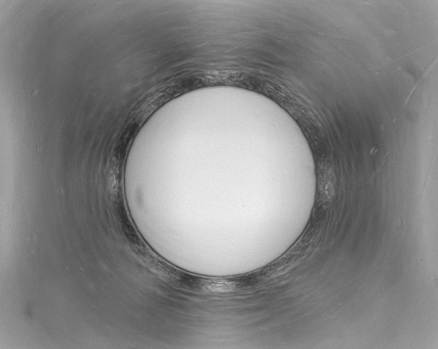 X0000116130226200911230958