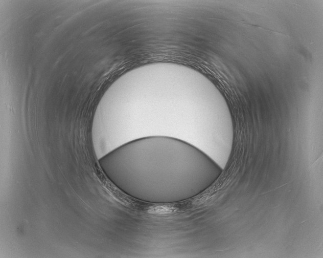 X0000116130231200911230958