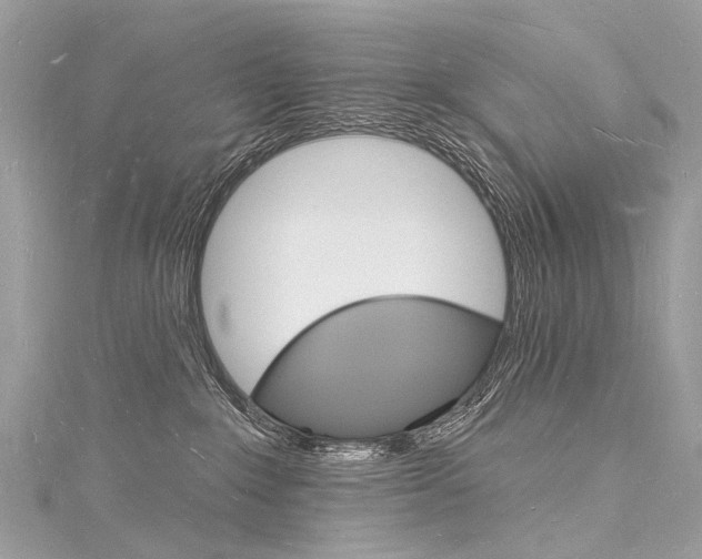 X0000116130235200911230958