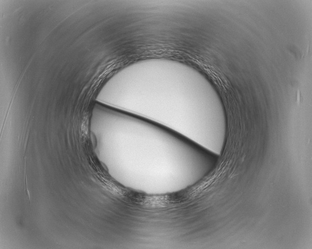 X0000116130240200911230958