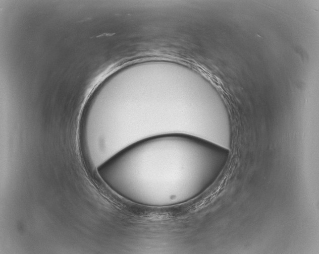 X0000116130248200911230957