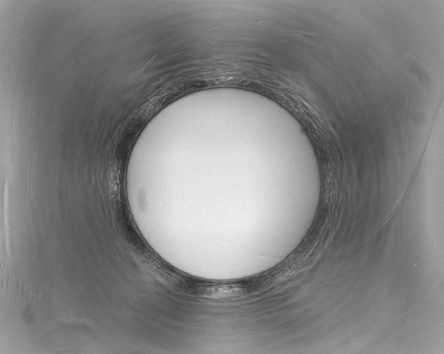 X0000116130274200911230957