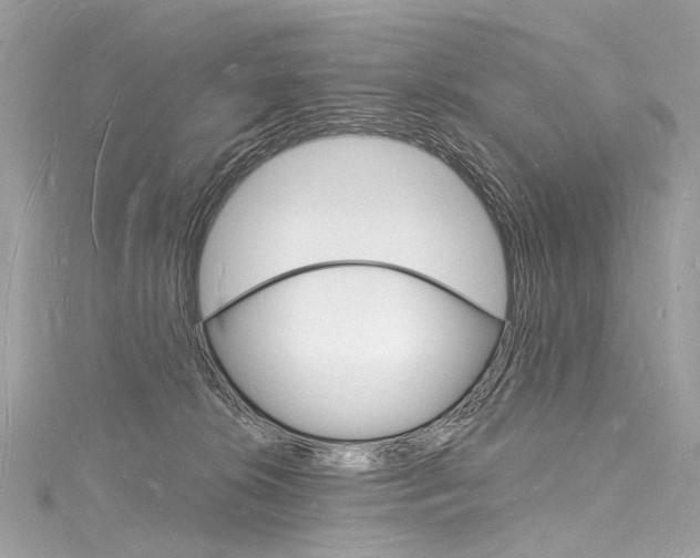 X0000116130276200911230957