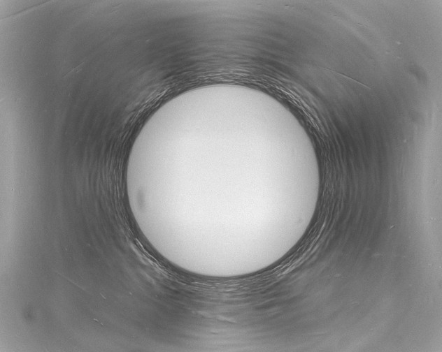 X0000116130284200911230958
