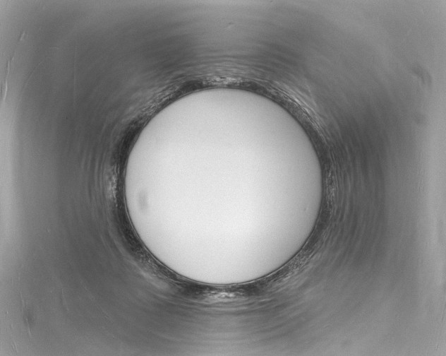 X0000116130315200911230957