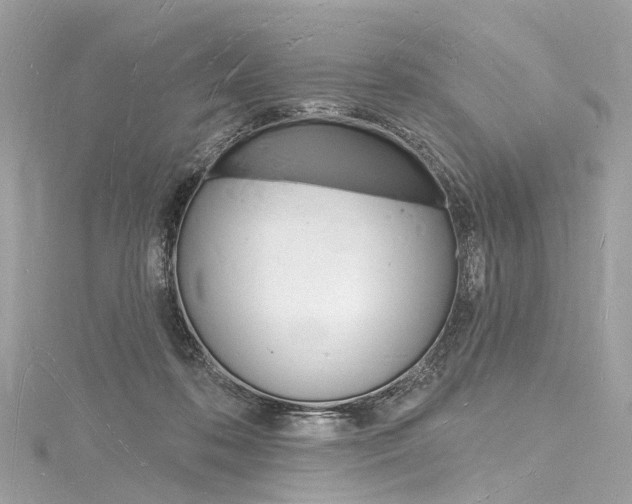 X0000116130316200911230957