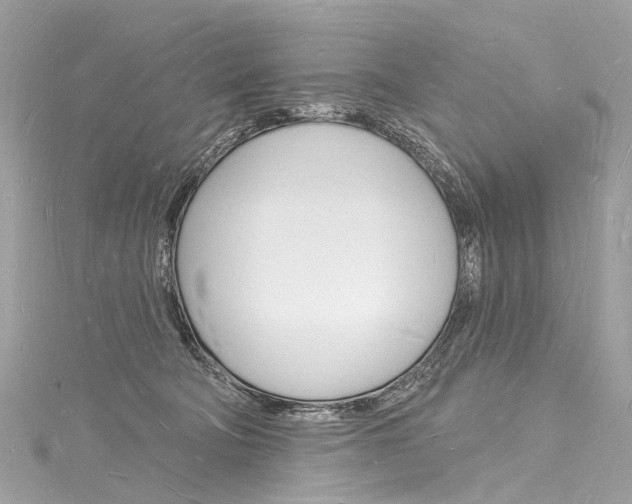 X0000116130322200911230956