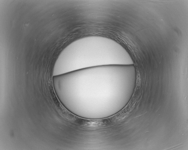 X0000116130323200911230956